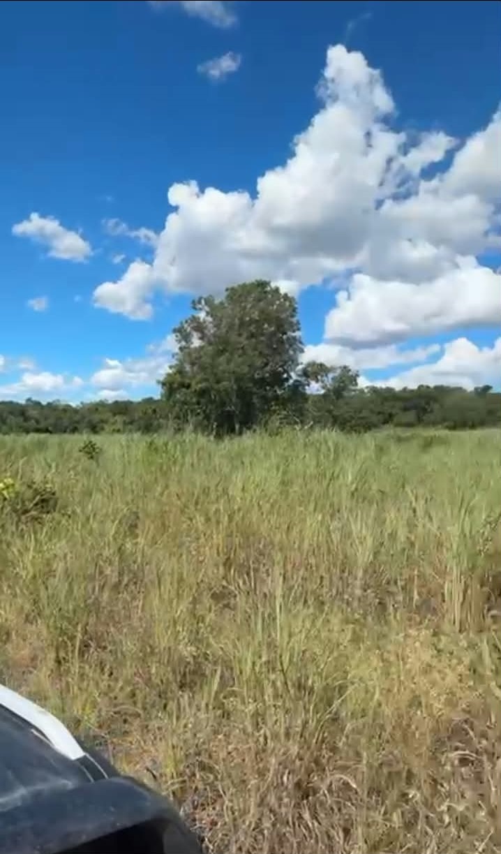 Área de pastagem
